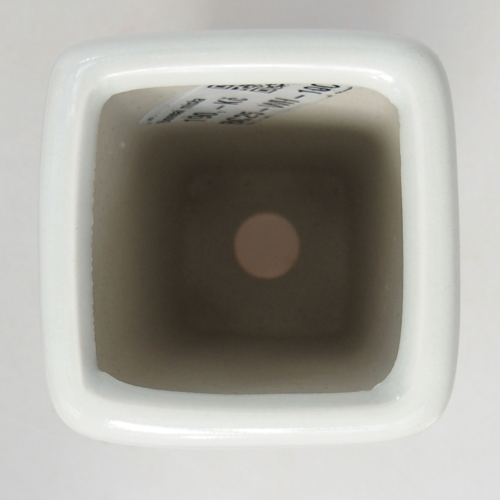 Cuenco bonsái de cerámica 5,5 x 5,5 x 12 cm, color blanco