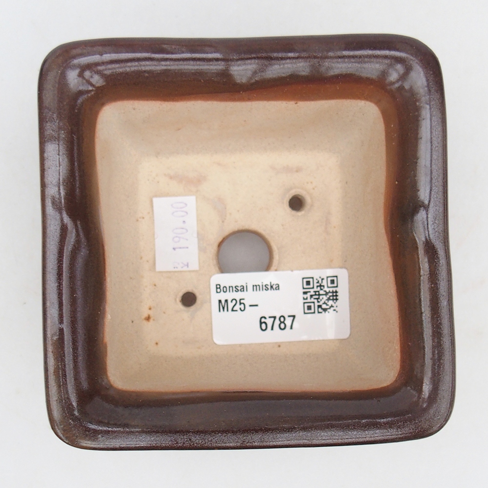 Cuenco bonsái de cerámica 10 x 10 x 6 cm, burdeos