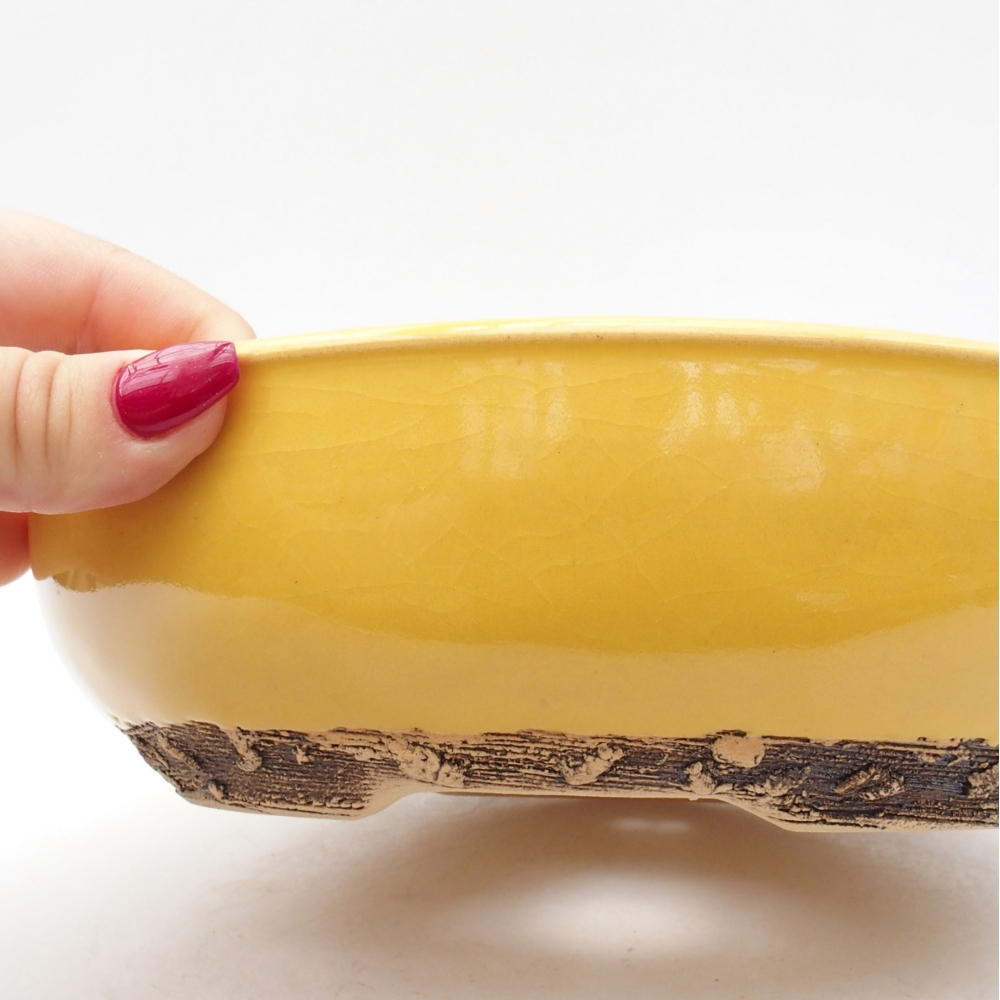 Cuenco bonsái de cerámica 20,5 x 20,5 x 6 cm, amarillo