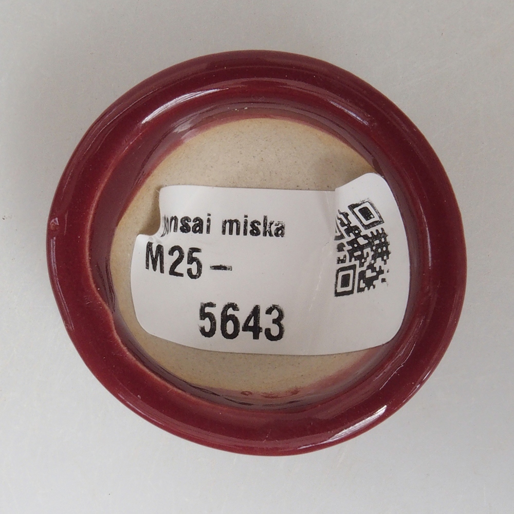 Cuenco mini bonsái 4 x 4 x 2 cm, burdeos
