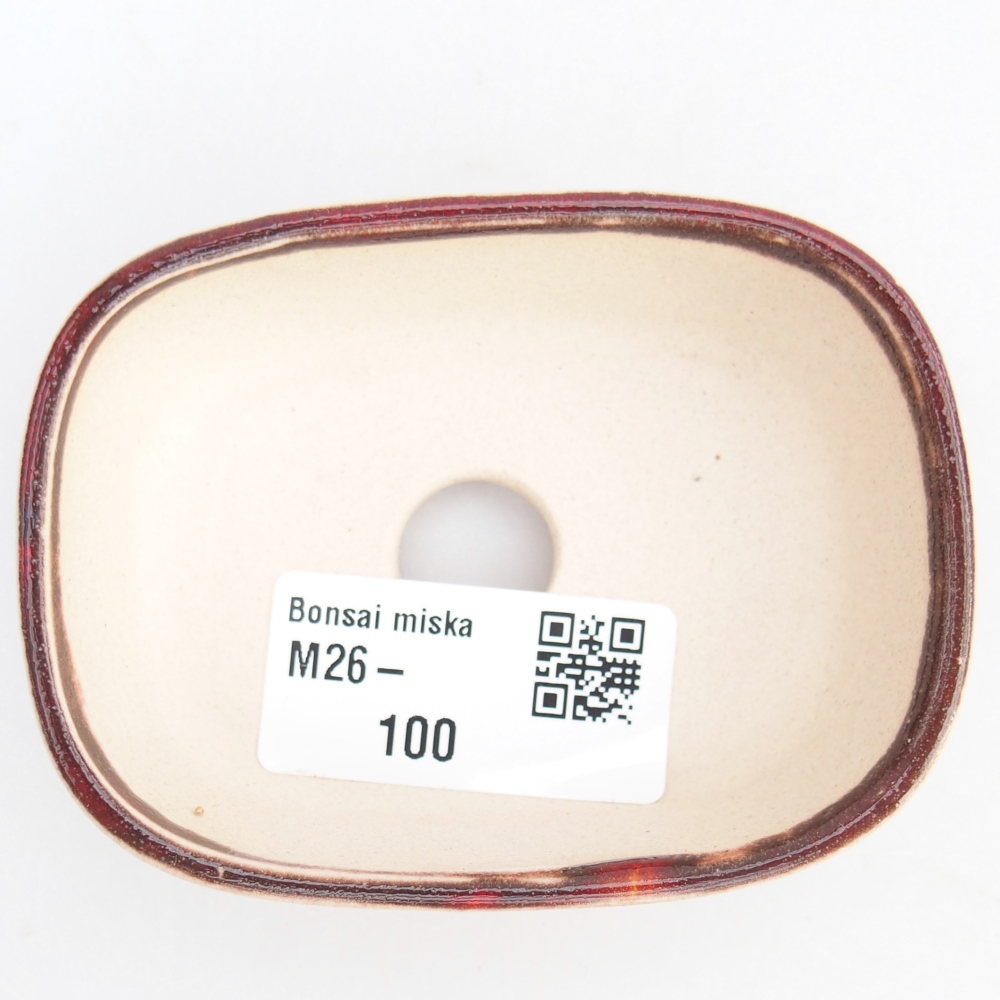 Cuenco mini bonsái 6 x 6 x 2,5 cm, color rojo