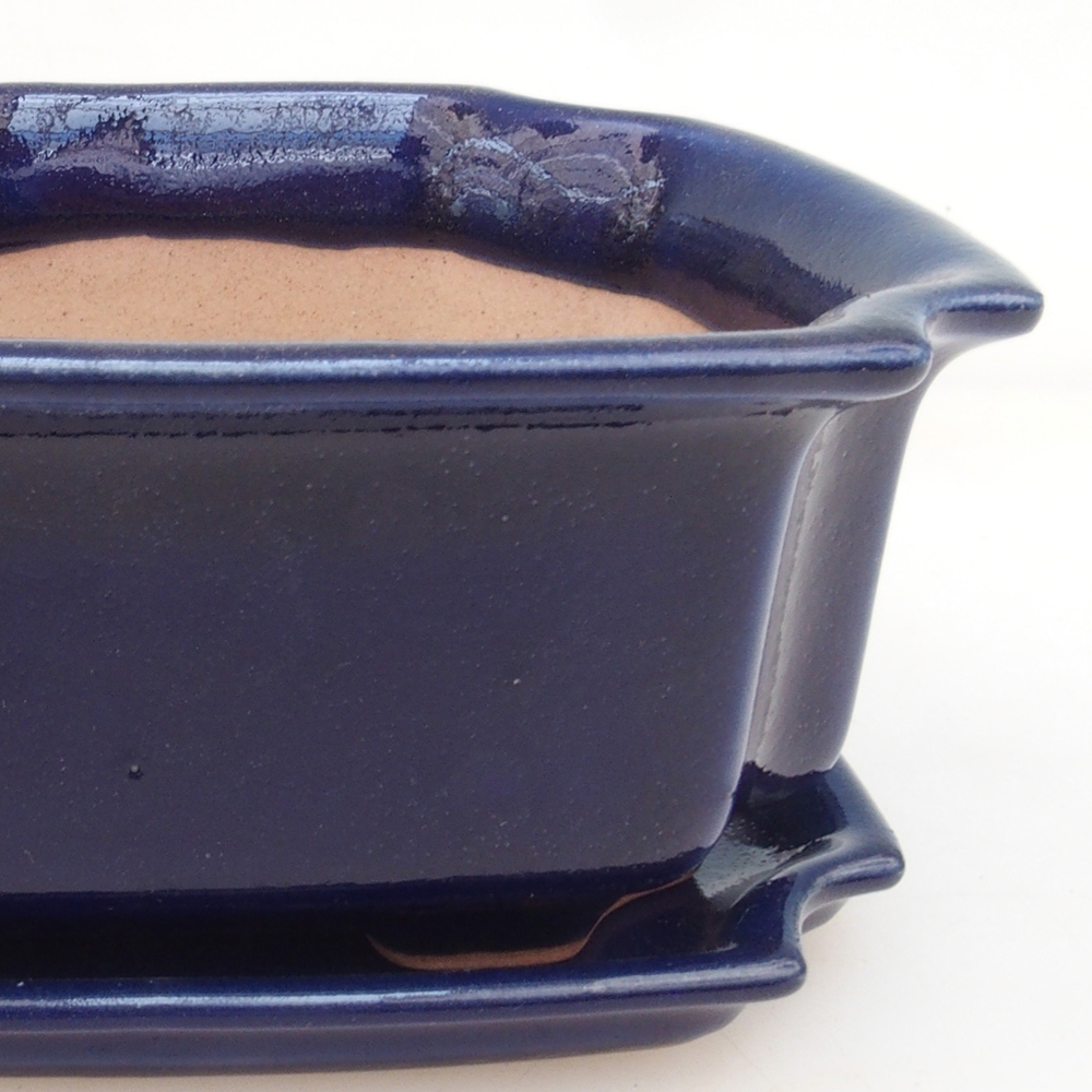 Bonsai cuenco + platillo H01 - azul