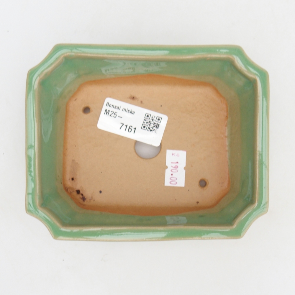 Cuenco bonsái de cerámica 13 x 10,5 x 4 cm, verde
