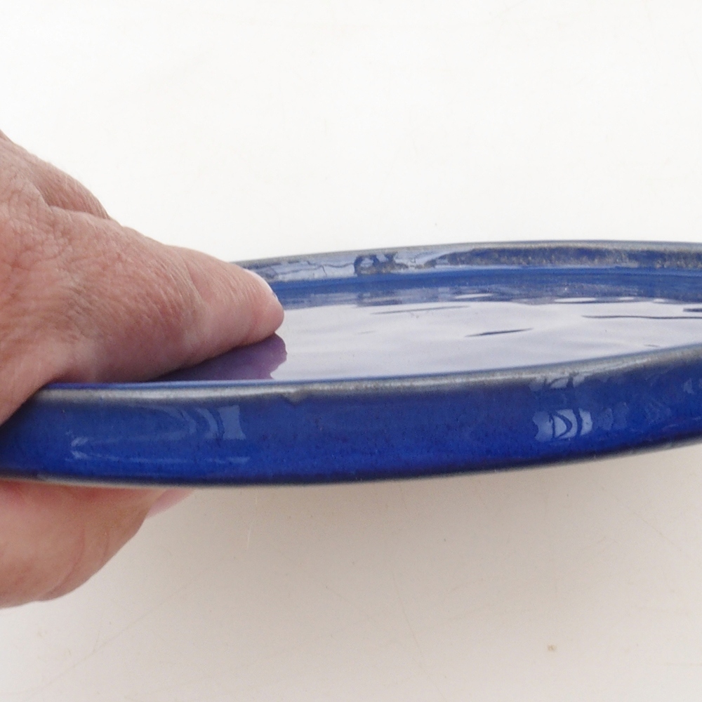 Contenedor redondo para bonsái D7-S - 16 x 16 x 1 cm - azul