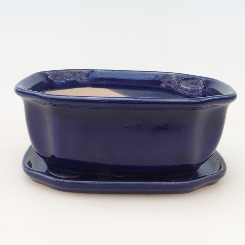 Bonsai cuenco + platillo H32 - azul