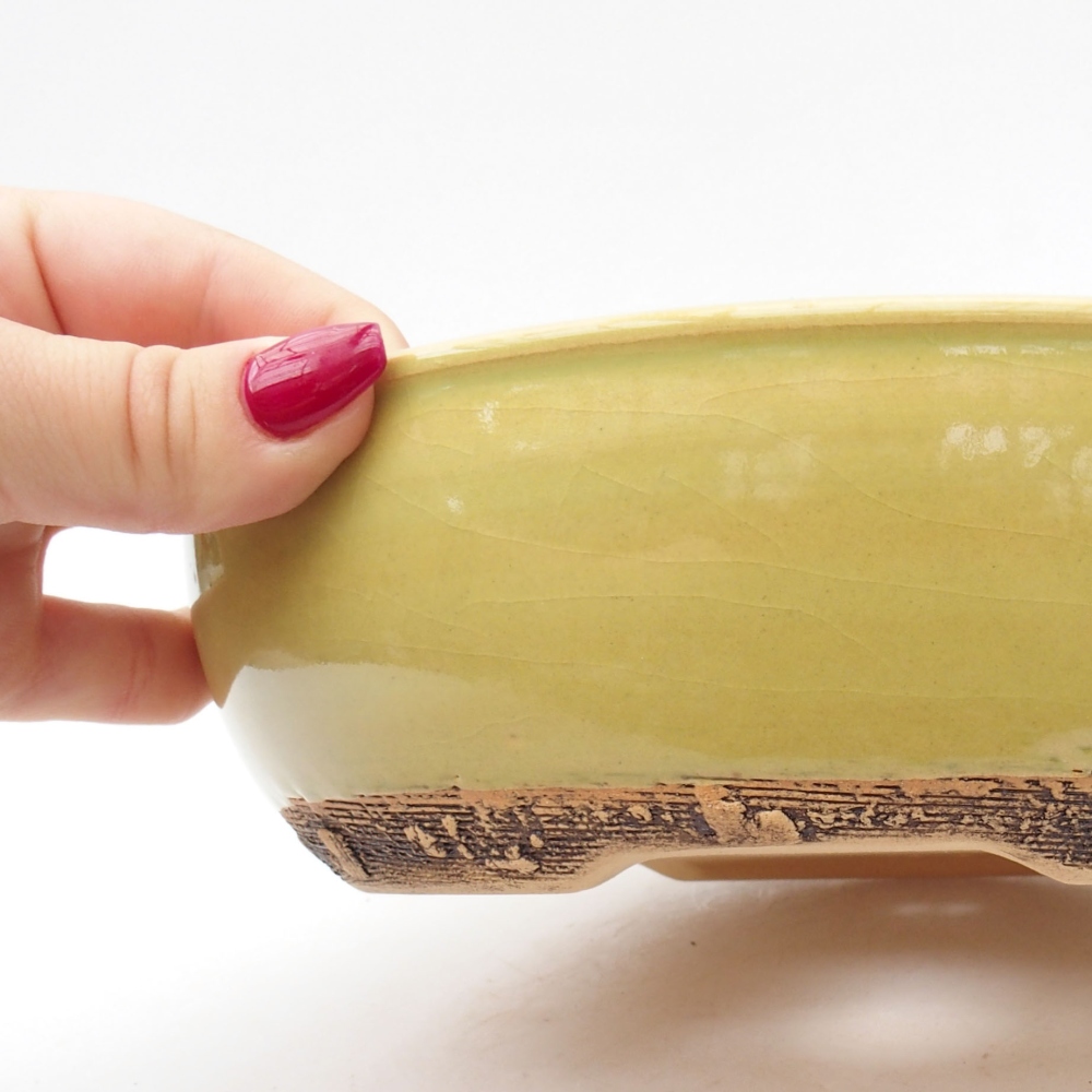 Cuenco bonsái de cerámica 20 x 20 x 5,5 cm, verde