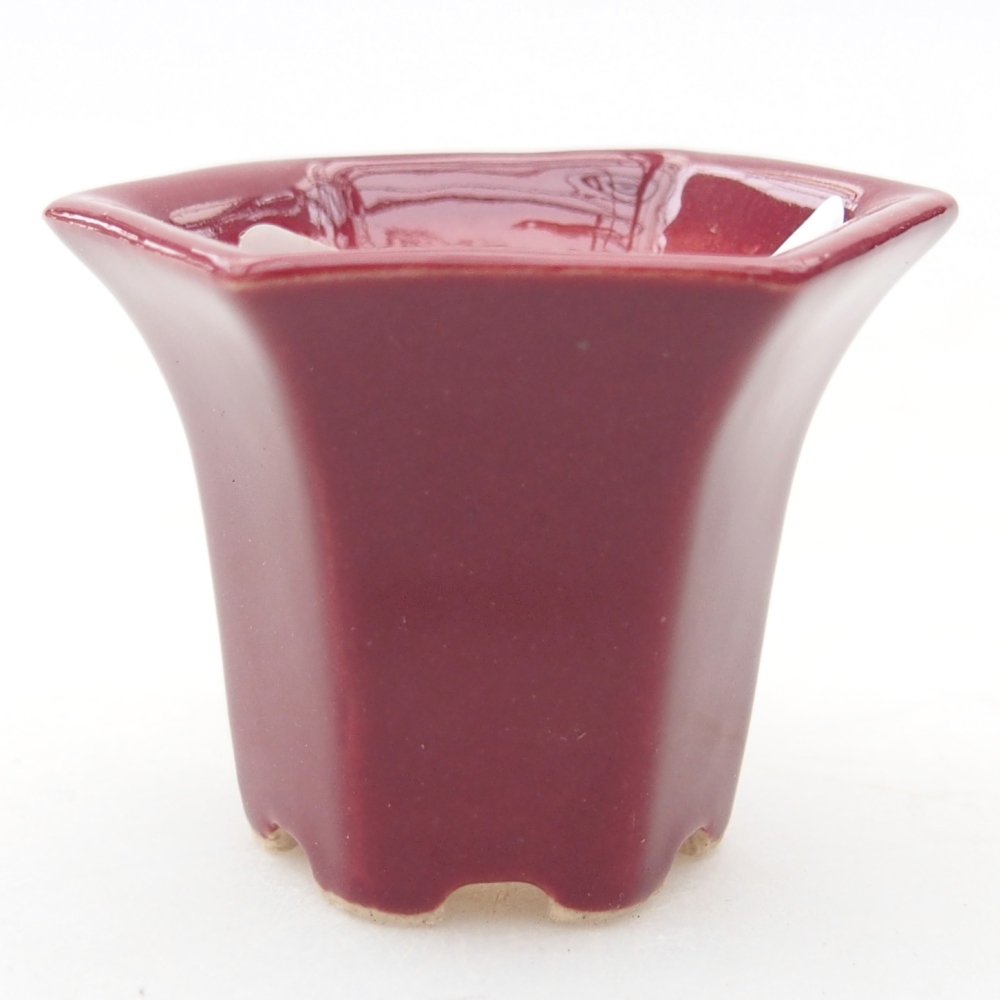 Cuenco mini bonsái 4 x 4 x 3,5 cm, burdeos