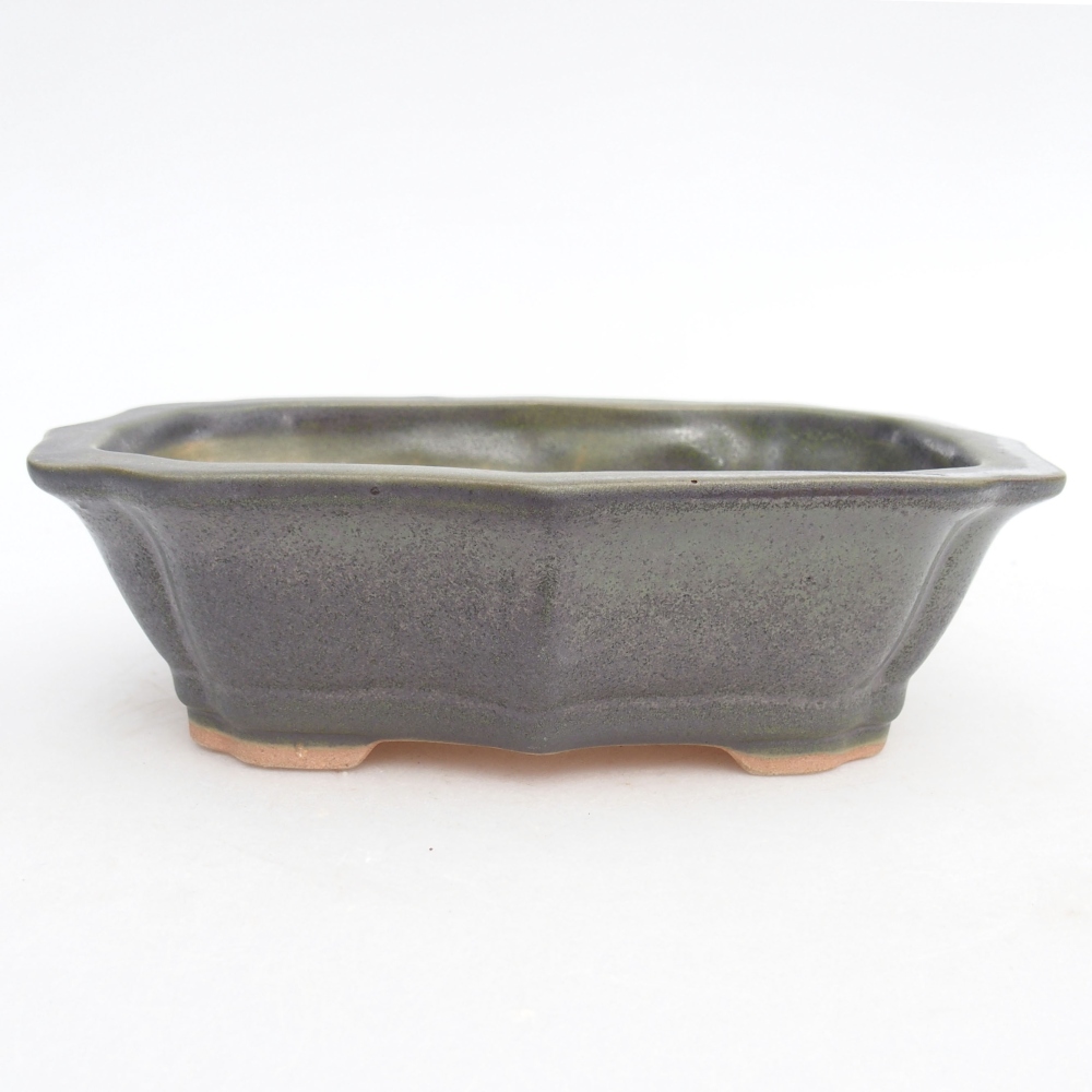 Cuenco bonsái de cerámica 15,5 x 11,5 x 4,5 cm, verde