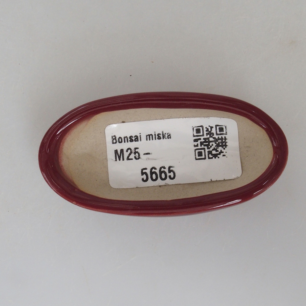 Mini cuenco bonsái 7 x 3 x 2 cm, burdeos