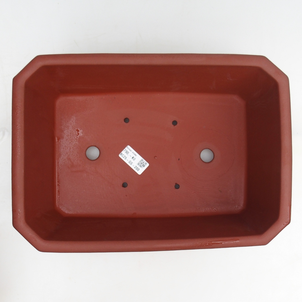 Cuenco bonsái de cerámica 32,5 x 23 x 11,5 cm, color teja