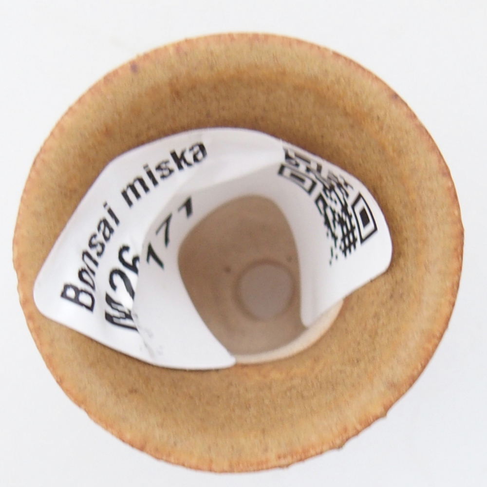 Cuenco mini bonsái 3 x 3 x 3,5 cm, marrón