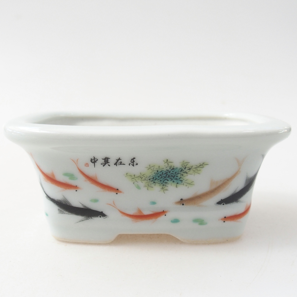 Cuenco mini bonsái 10 x 7,5 x 4 cm, color blanco