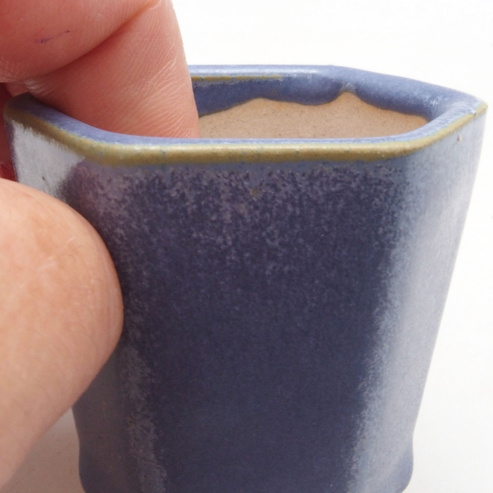 Mini cuenco bonsái 5 x 4,5 x 5 cm, color azul