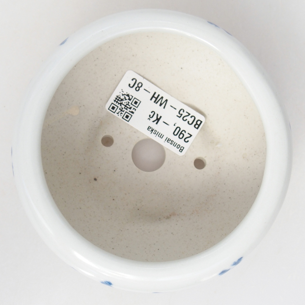 Cuenco bonsái de cerámica 10 x 10 x 5 cm, color blanco