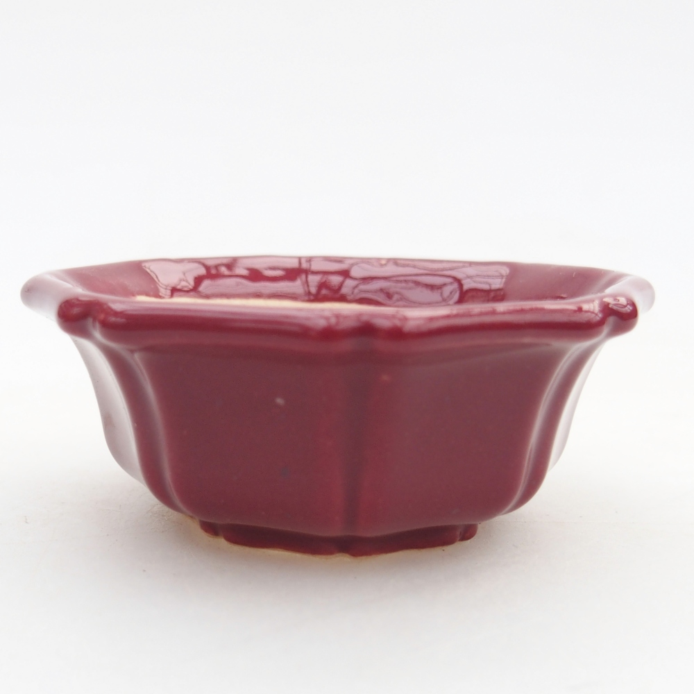 Cuenco mini bonsái 6 x 6 x 2,5 cm, burdeos