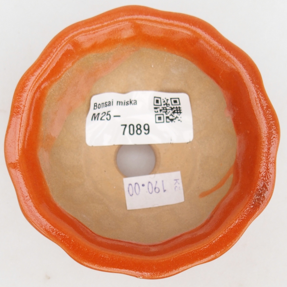 Cuenco bonsái de cerámica 8,5 x 8,5 x 4,5 cm, naranja