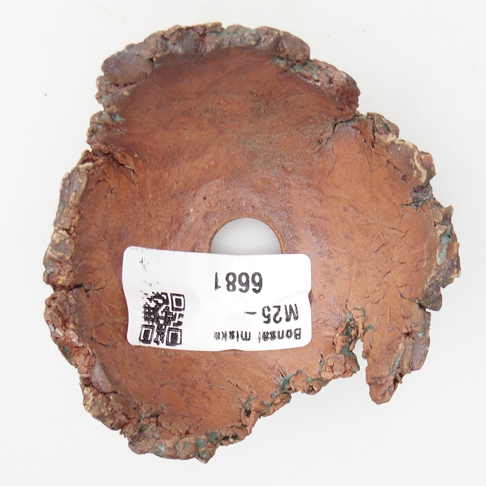 Concha de cerámica 7,5 x 7 x 4 cm , color verde