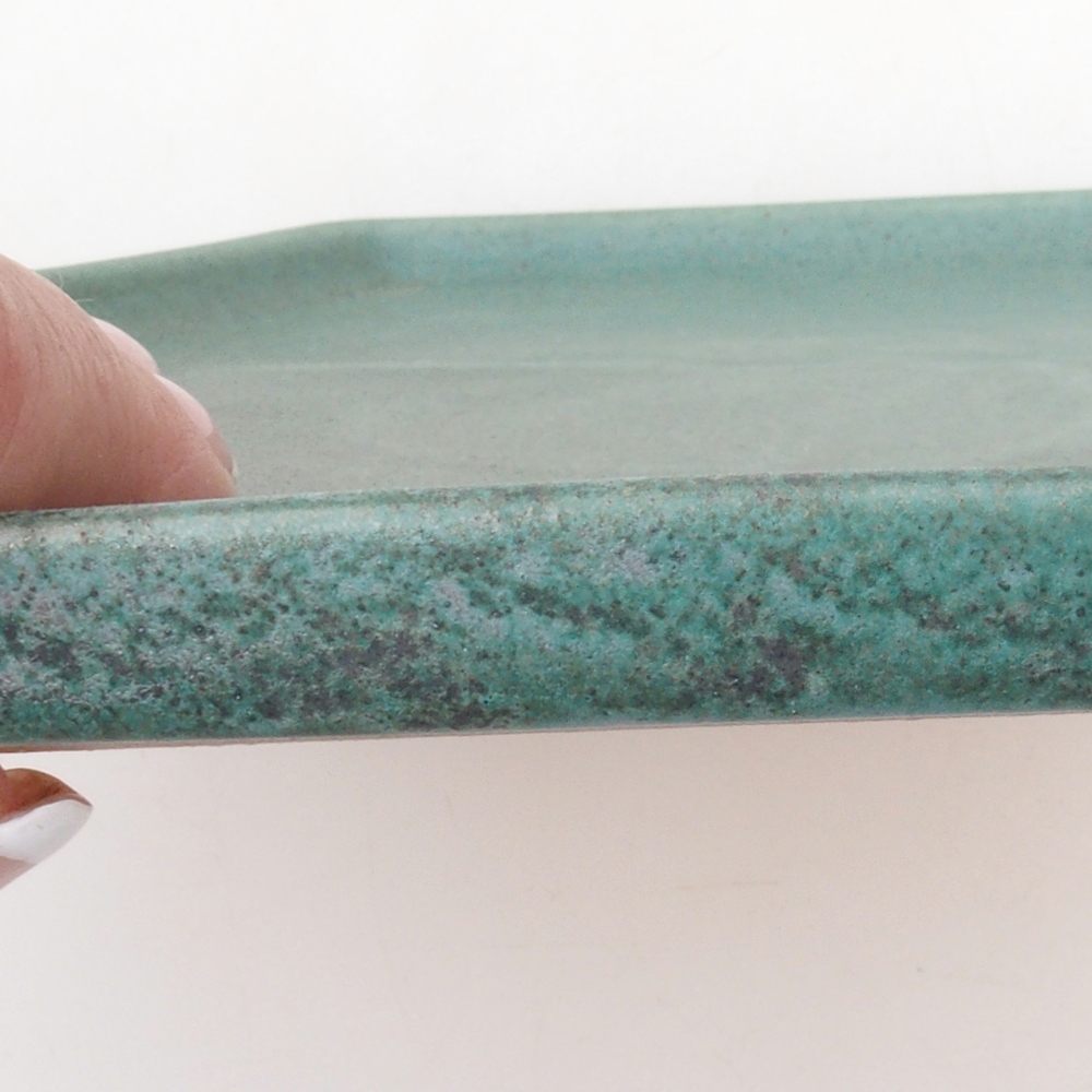 Platillo de cerámica H53 -18,5 x 17 x 1 cm - verde