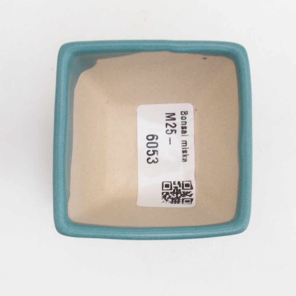 Cuenco bonsái de cerámica 6,5 x 5,5 x 4 cm, color azul