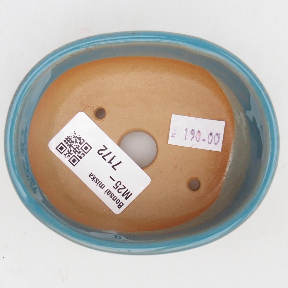 Cuenco bonsái de cerámica 9,5 x 7,5 x 3,5 cm, color azul