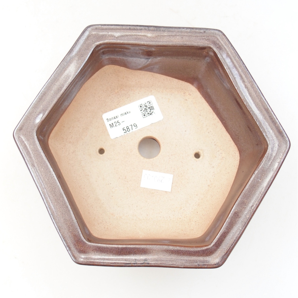 Cuenco bonsái de cerámica 22 x 17 x 5 cm, verde