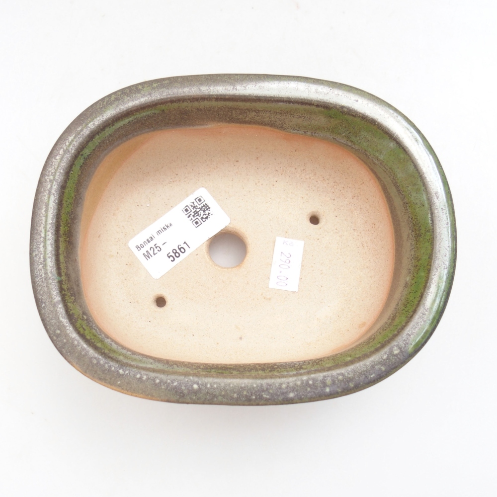 Cuenco bonsái de cerámica 22 x 17 x 5 cm, verde