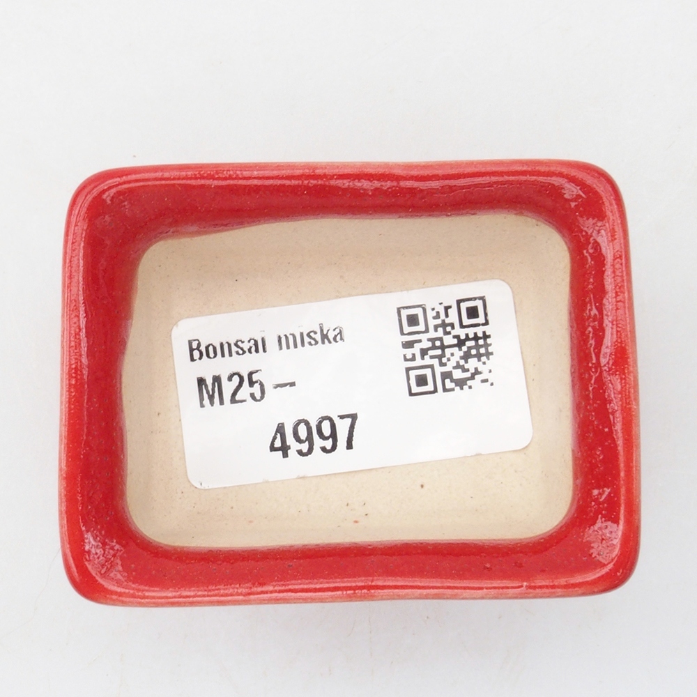Cuenco mini bonsái 5,5 x 4 x 2,5 cm, color rojo