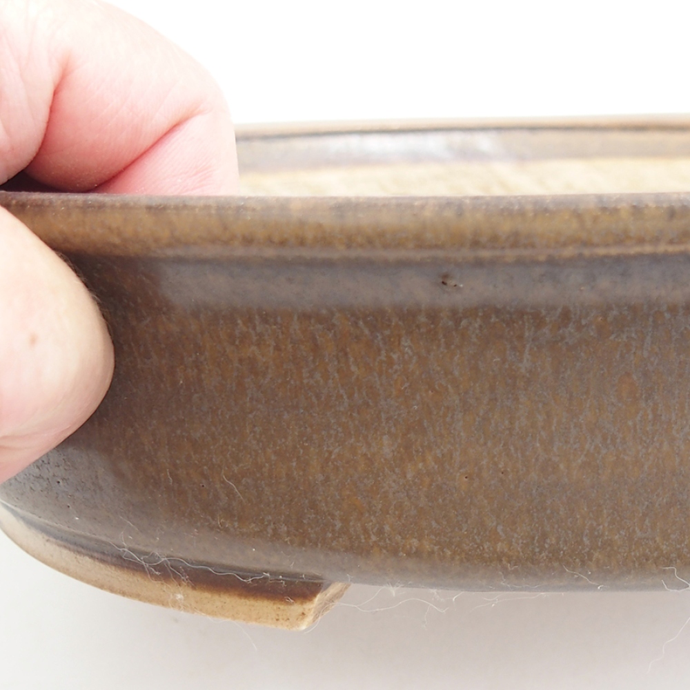 Cuenco bonsái de cerámica 25,5 x 23 x 5,5 cm, marrón