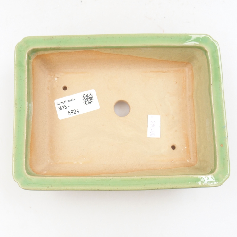 Cuenco bonsái de cerámica 22 x 17 x 5 cm, verde