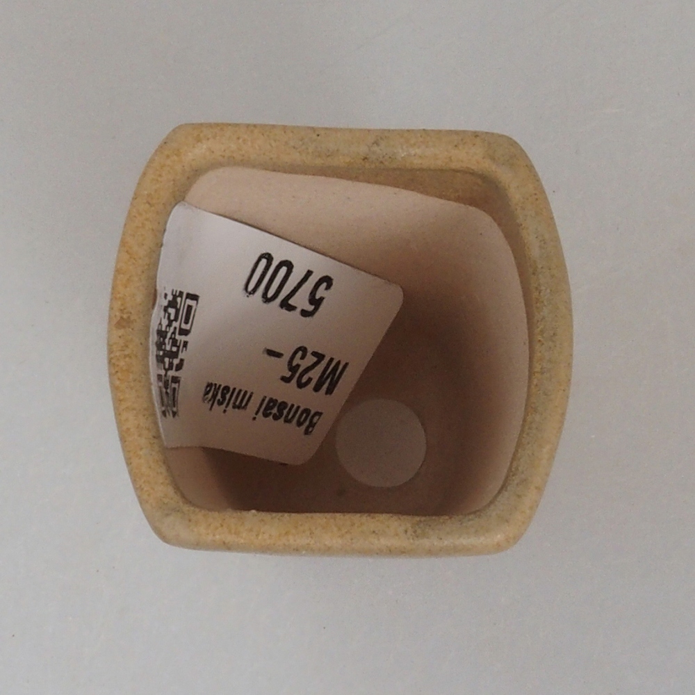 Mini cuenco bonsái 3,5 x 3 x 5 cm, marrón