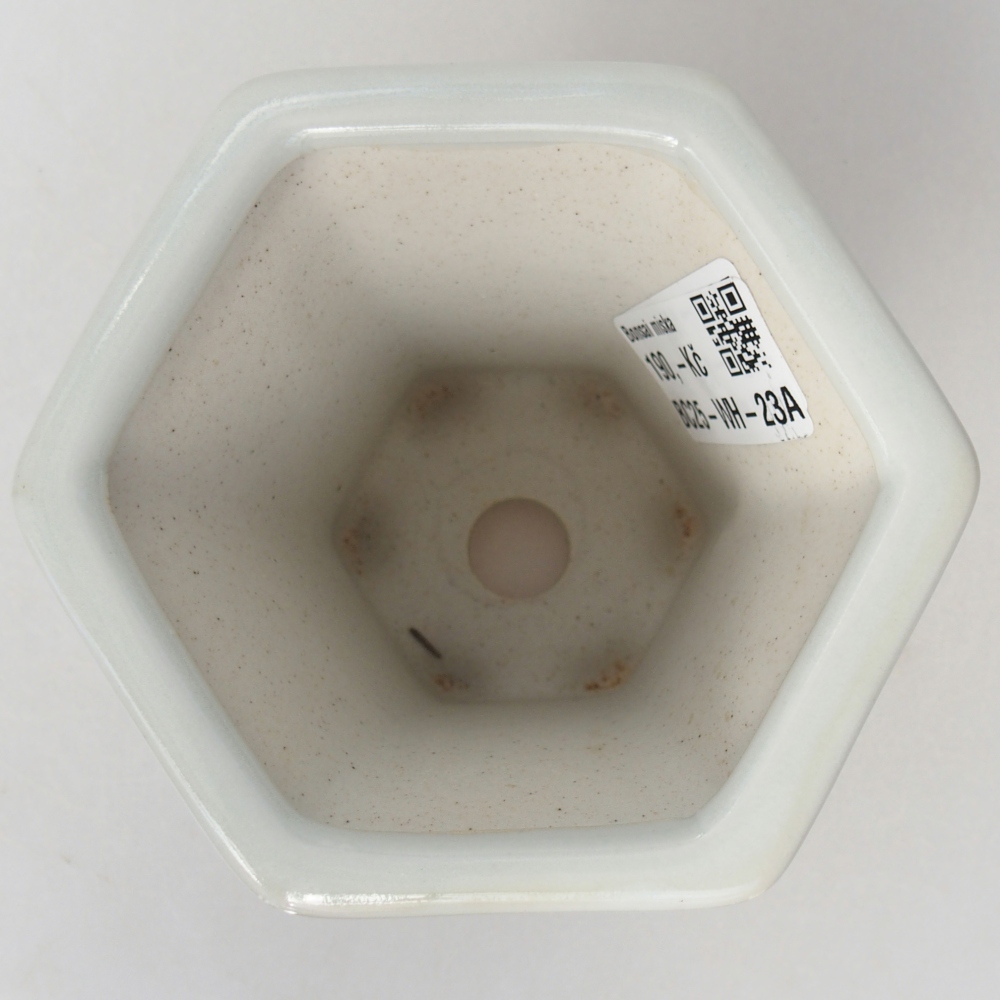 Cuenco bonsái de cerámica 10 x 9 x 9 cm, color blanco