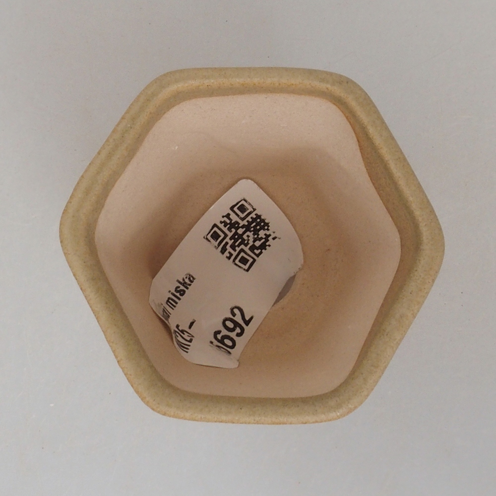 Mini cuenco bonsái 5 x 5 x 5 cm, marrón