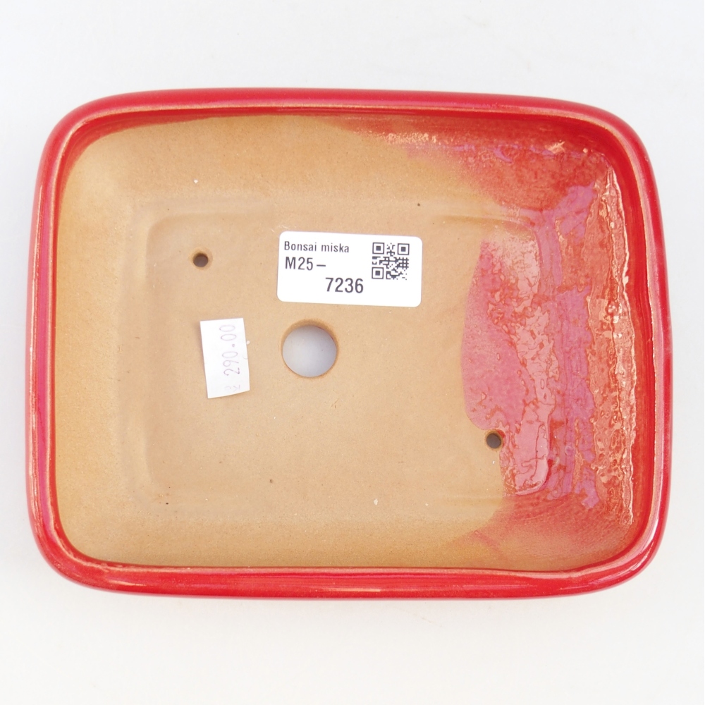 Cuenco bonsái de cerámica 16,5 x 13,5 x 3,5 cm, color rojo