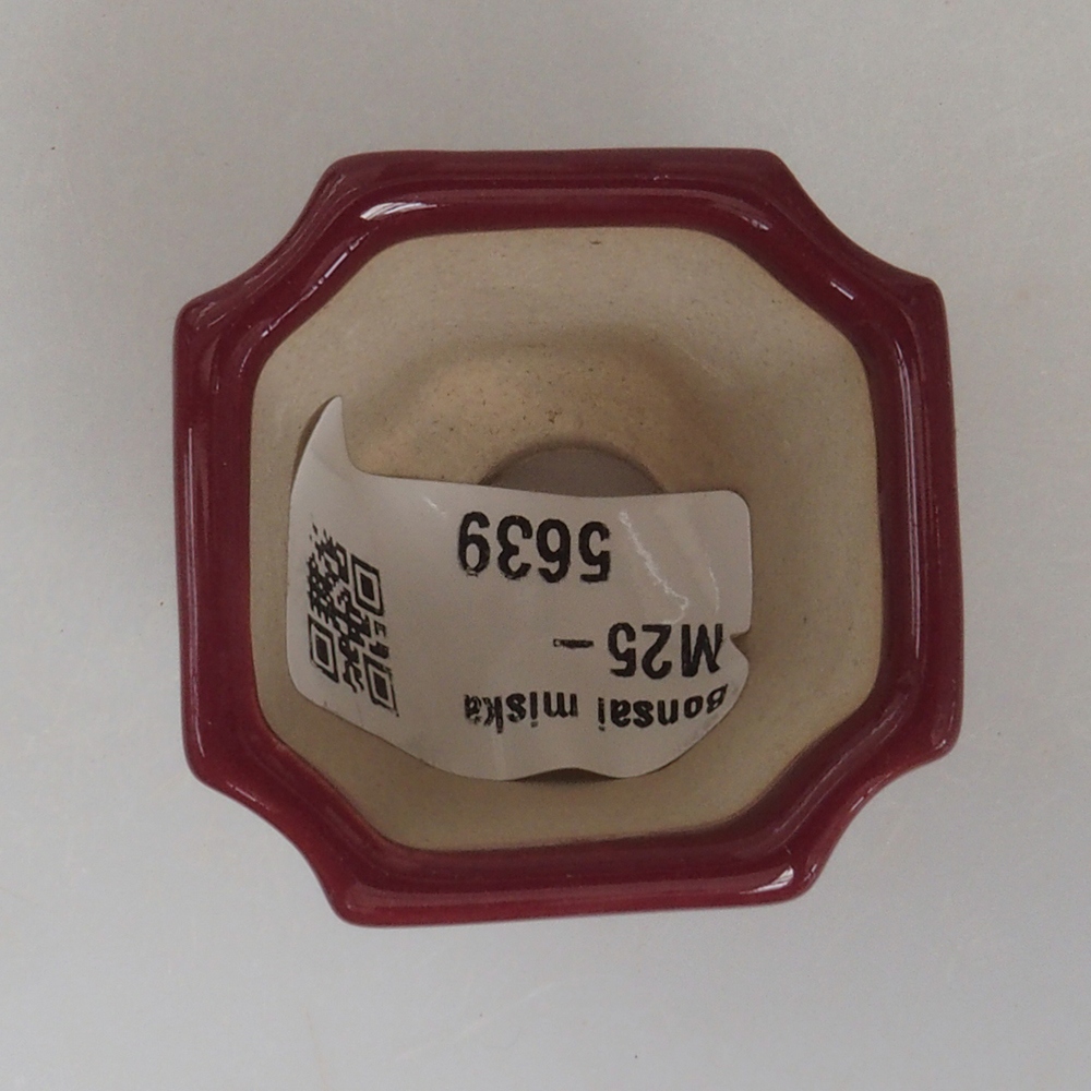 Cuenco mini bonsái 4 x 4 x 4 cm, burdeos