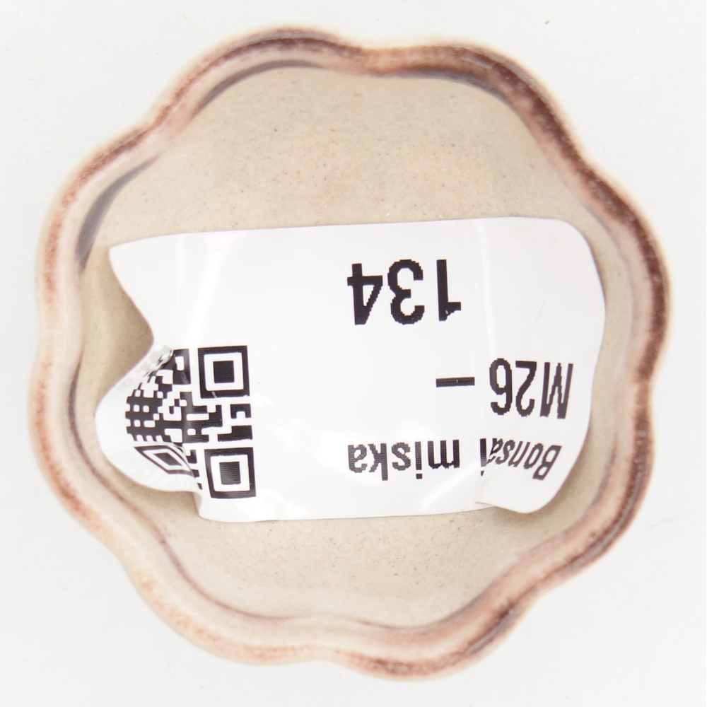 Cuenco mini bonsái 4 x 4 x 2 cm, color rojo