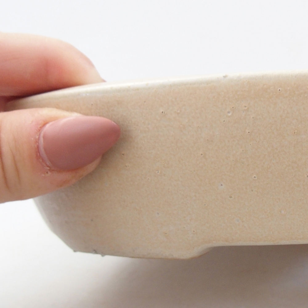 Cuenco bonsái de cerámica 22 x 16,5 x 4,5 cm, beige