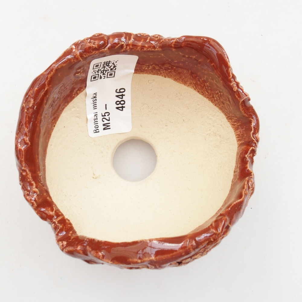 Concha de cerámica 8 x 7 x 6 cm , color marrón