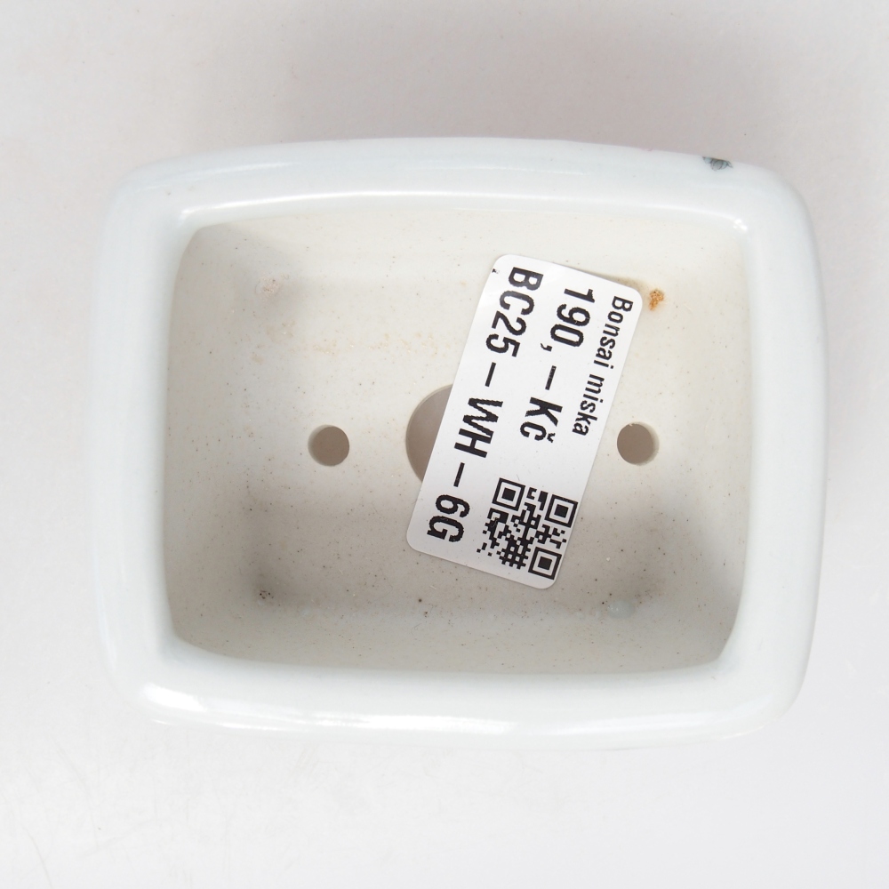 Cuenco mini bonsái 8 x 6,5 x 3,5 cm, blanco