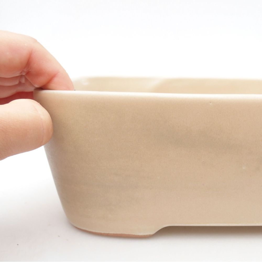 Cuenco bonsái de cerámica 23 x 18 x 7,5 cm, color beige