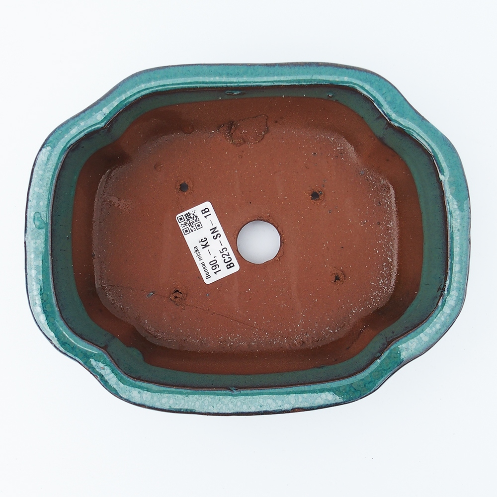 Bol 20 x 16 x 6,5 cm verde-azul