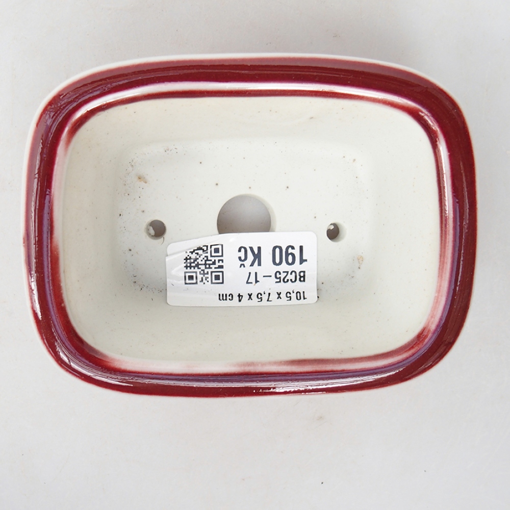 Cuenco bonsái de cerámica 10 x 7,5 x 4 cm, color rojo