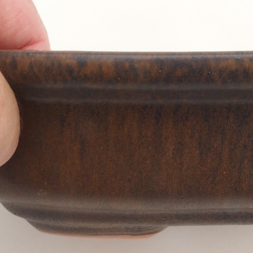 Cuenco bonsái H25 - 23 x 17 x 5,5 cm - marrón