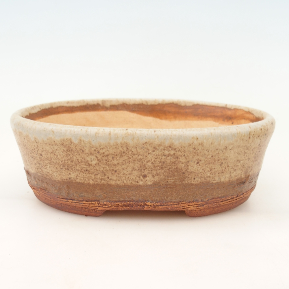 Cuenco bonsái 20 x 16 x 6,5 cm , color beige