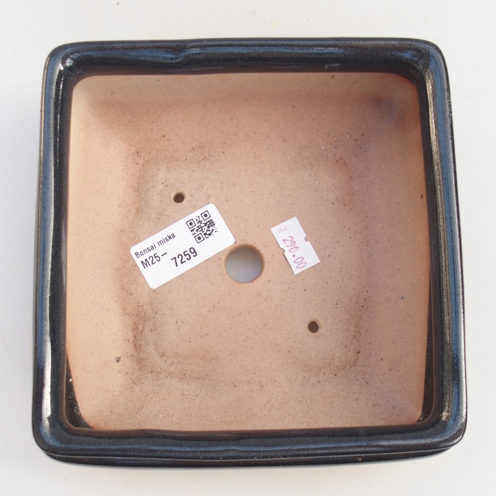 Cuenco bonsái de cerámica 15,5 x 15,5 x 6 cm, negro