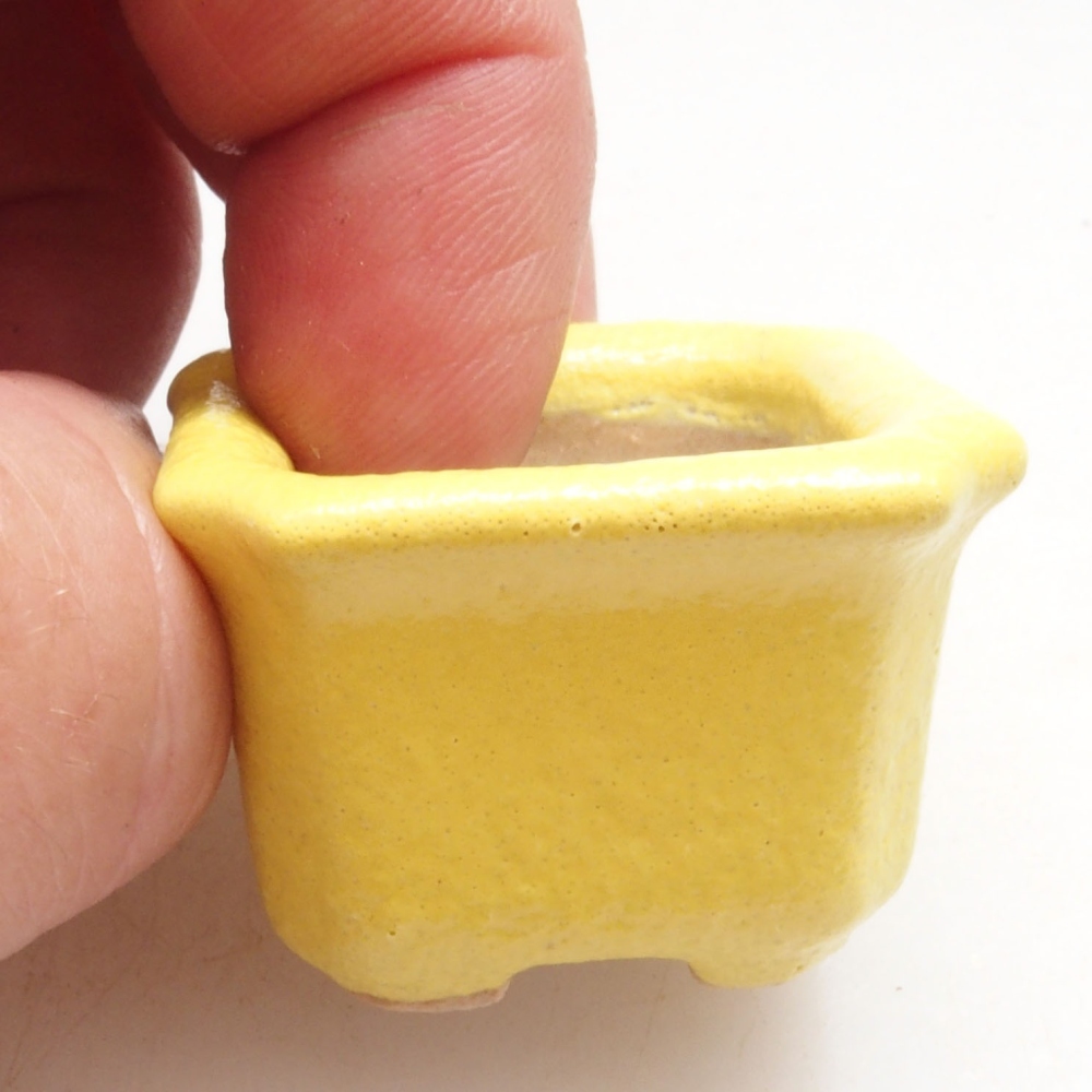 Cuenco bonsái de cerámica 3 x 3 x 2 cm, amarillo