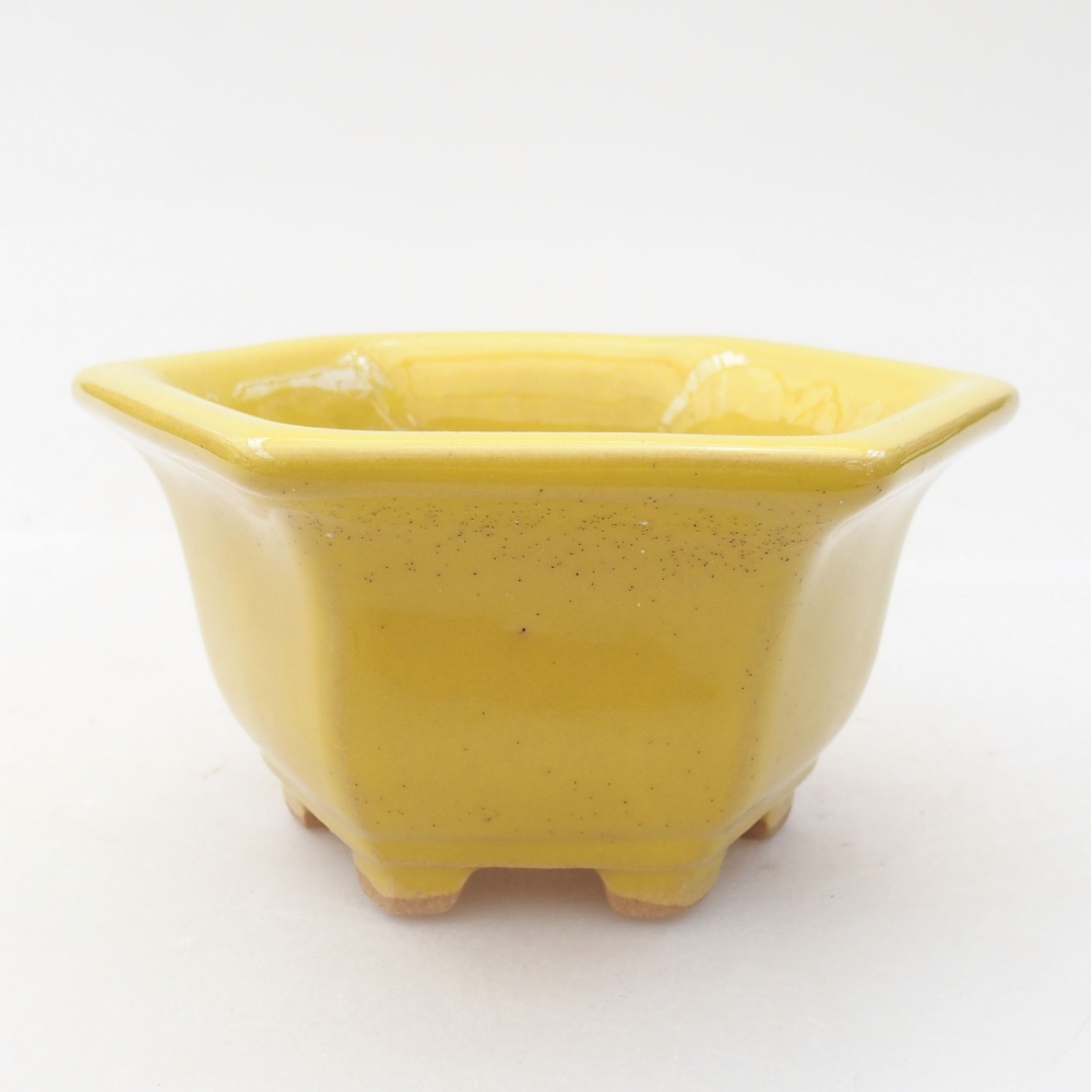 Cuenco bonsái de cerámica 10,5 x 9,5 x 5,5 cm, amarillo