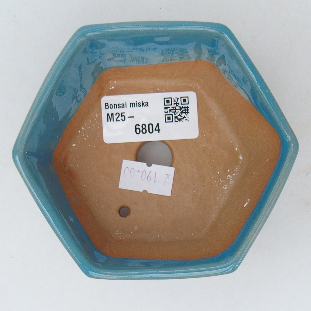 Cuenco bonsái de cerámica 10,5 x 9,5 x 5 cm, color azul