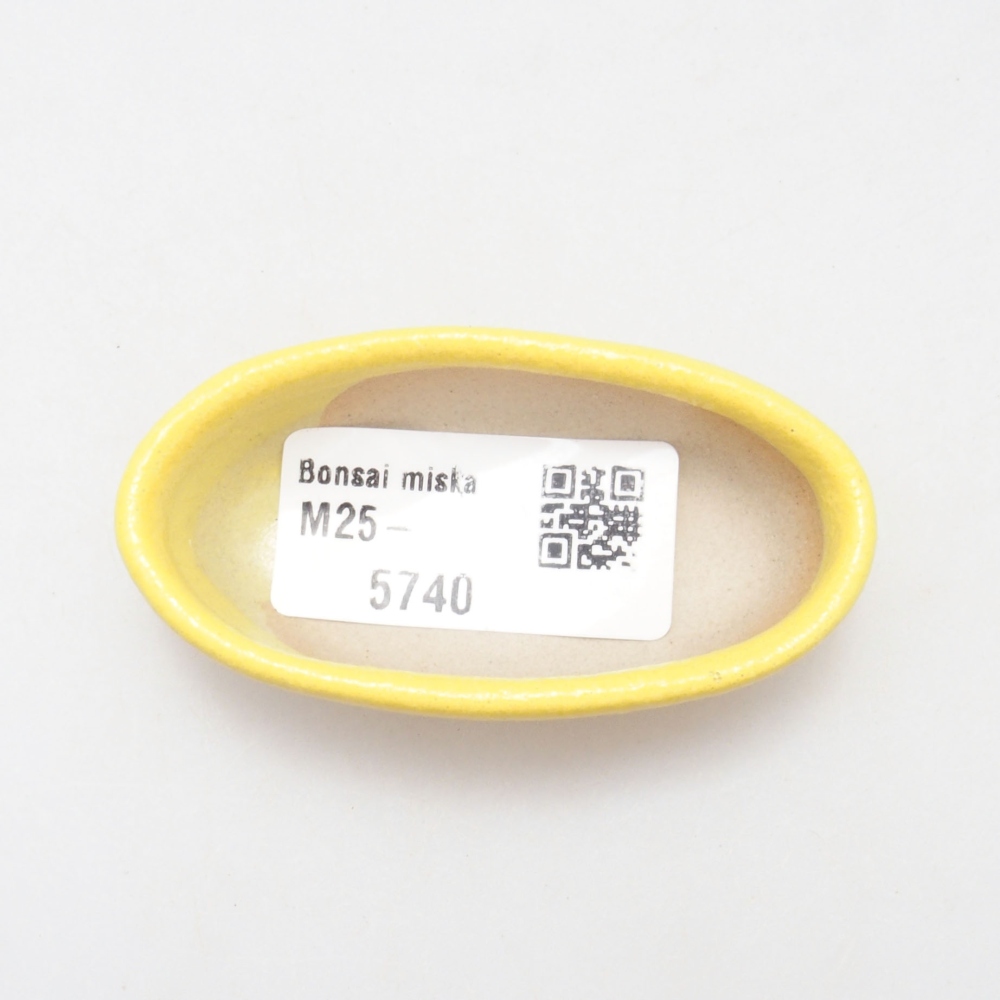 Cuenco bonsái de cerámica 6,5 x 3,5 x 2 cm, amarillo