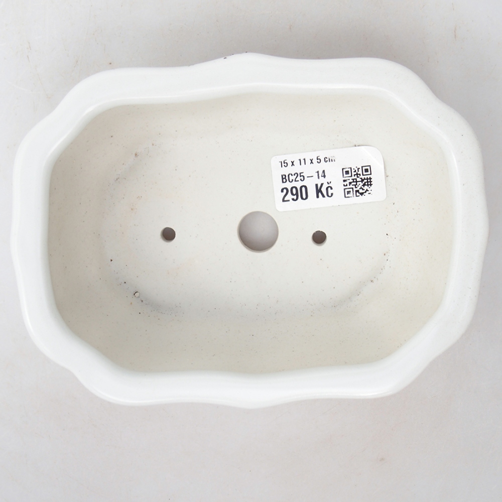 Cuenco bonsái de cerámica 15 x 11 x 5 cm, color blanco