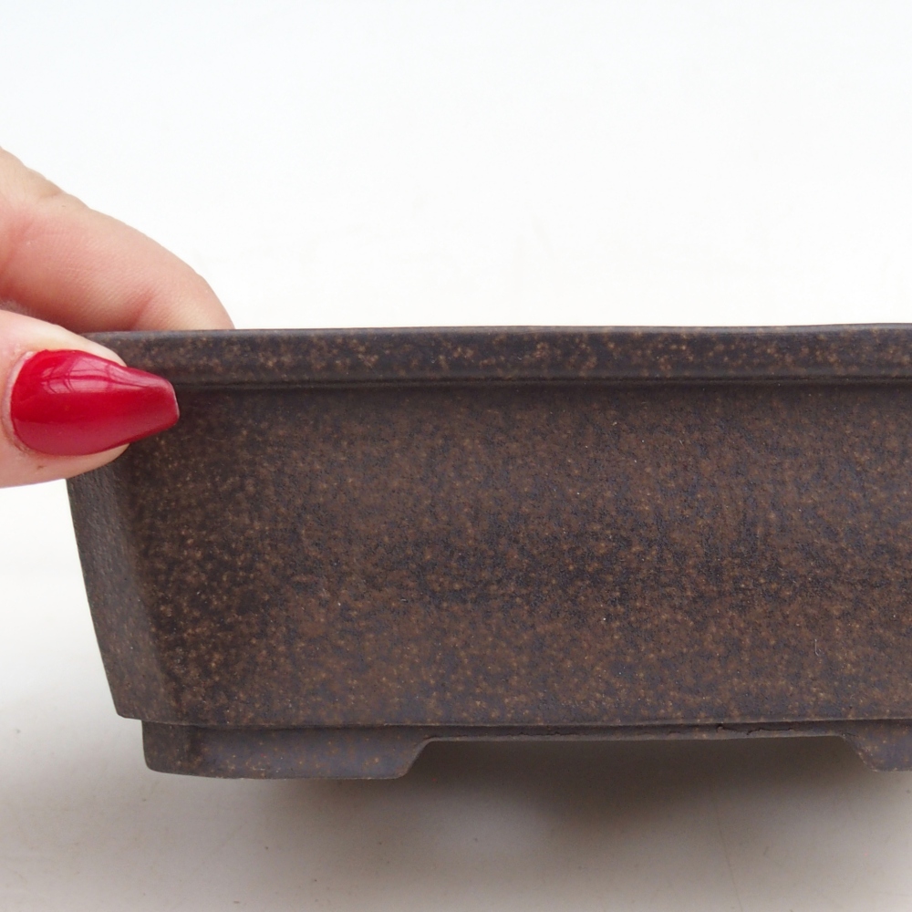 Cuenco bonsái de cerámica 15 x 11 x 5 cm, ocre pardusco